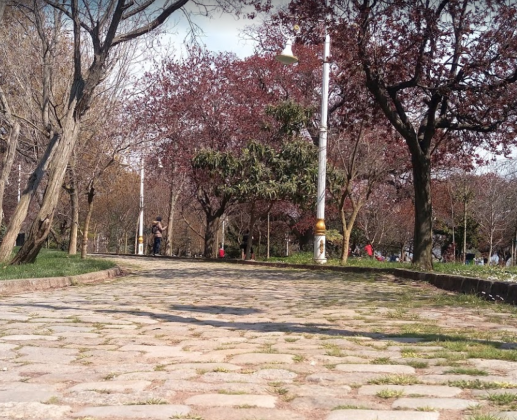 Парк Фенербахче в Стамбуле